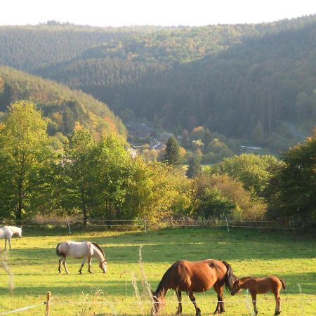 Pretty Cottage Ardennes Near The Valley Of Lesse Vencimont Exterior photo