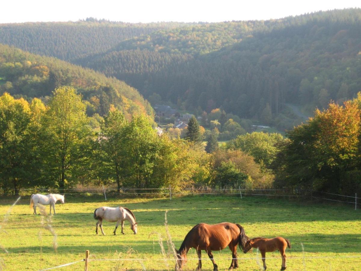 Pretty Cottage Ardennes Near The Valley Of Lesse Vencimont Exterior photo