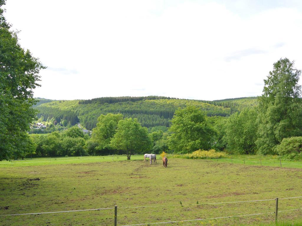 Pretty Cottage Ardennes Near The Valley Of Lesse Vencimont Exterior photo
